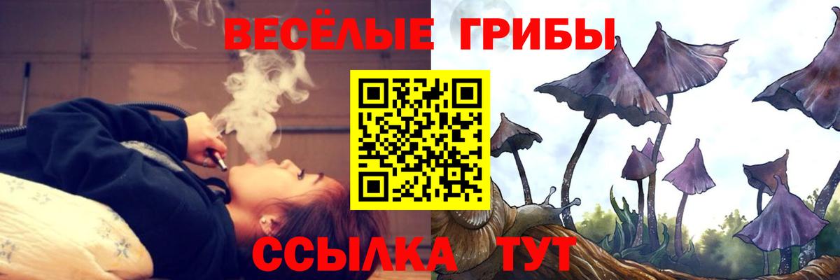 Галлюциногенные грибы Psilocybe  Галлюциногенные грибы GOLDEN TEACHER  Вход с VPN  Ноябрьск 